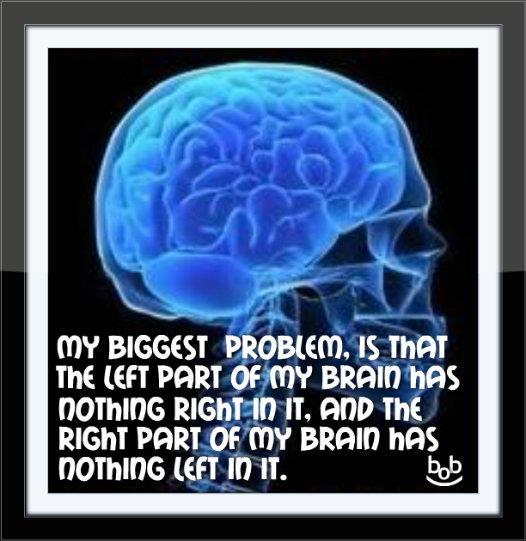 leftrightbrain.jpg