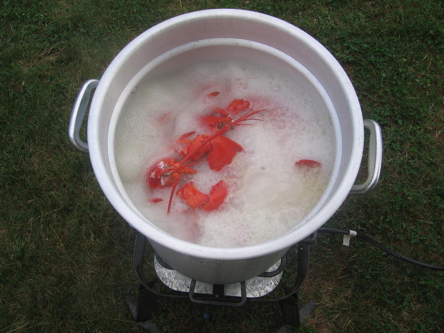 Lobsters with Ida 026.JPG