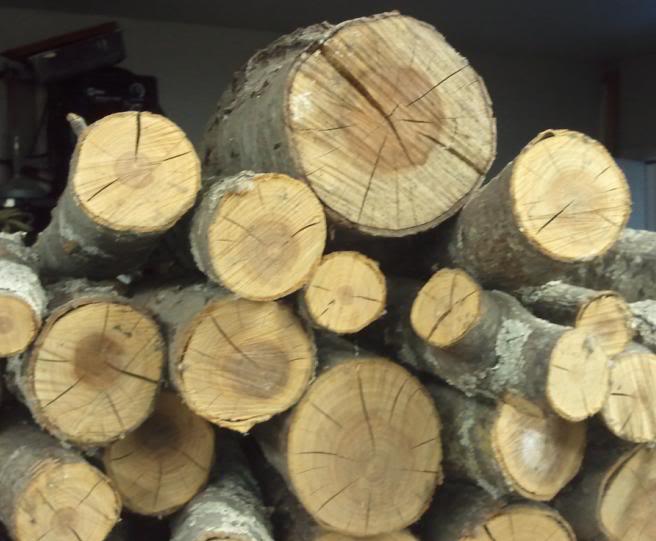 logs.jpg