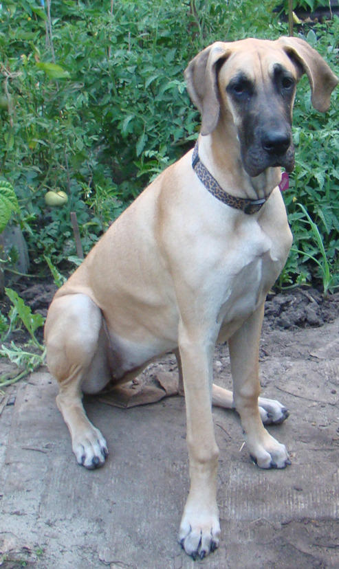 lola_1.jpg