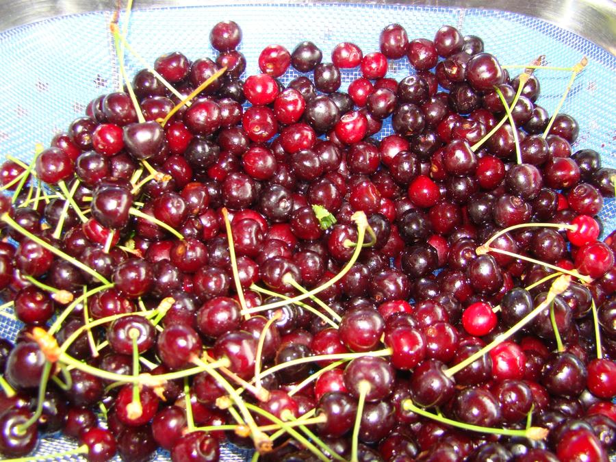 m_DSC06601.jpg