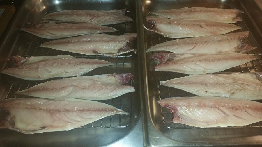 Mackerel filleted.jpg