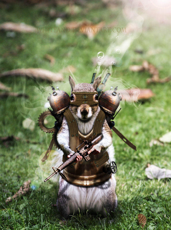 mad_squirrel_by_whiteand.jpg