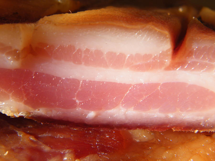 making bacon 003.JPG