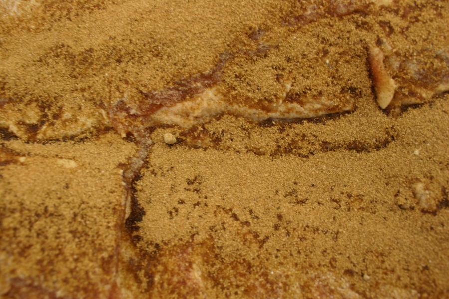 Maple Bacon close up start of week 2 - 1.JPG