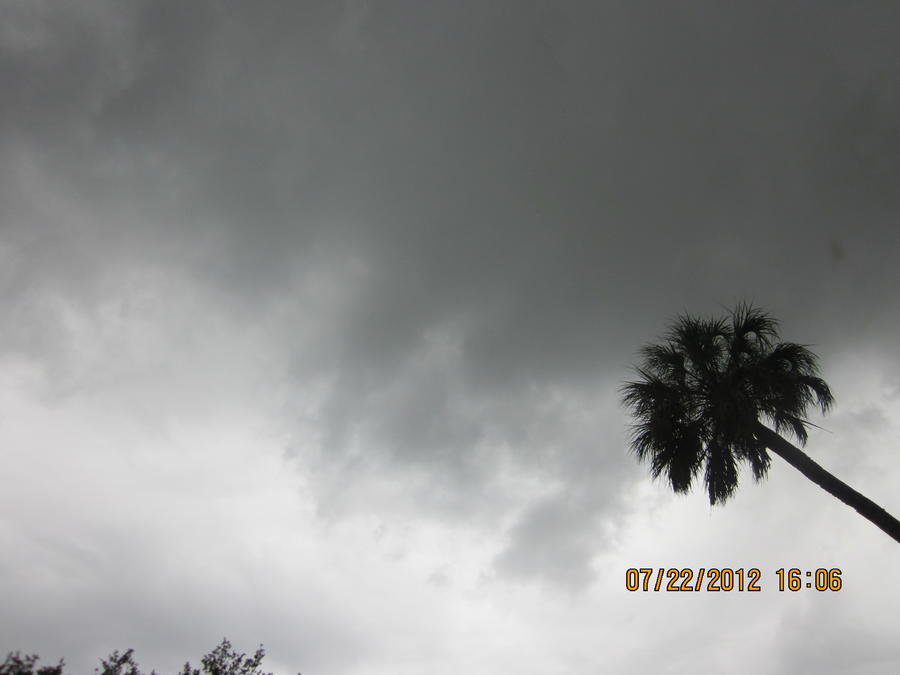 Maple Bourban Ham on the Mini WSM 009.JPG