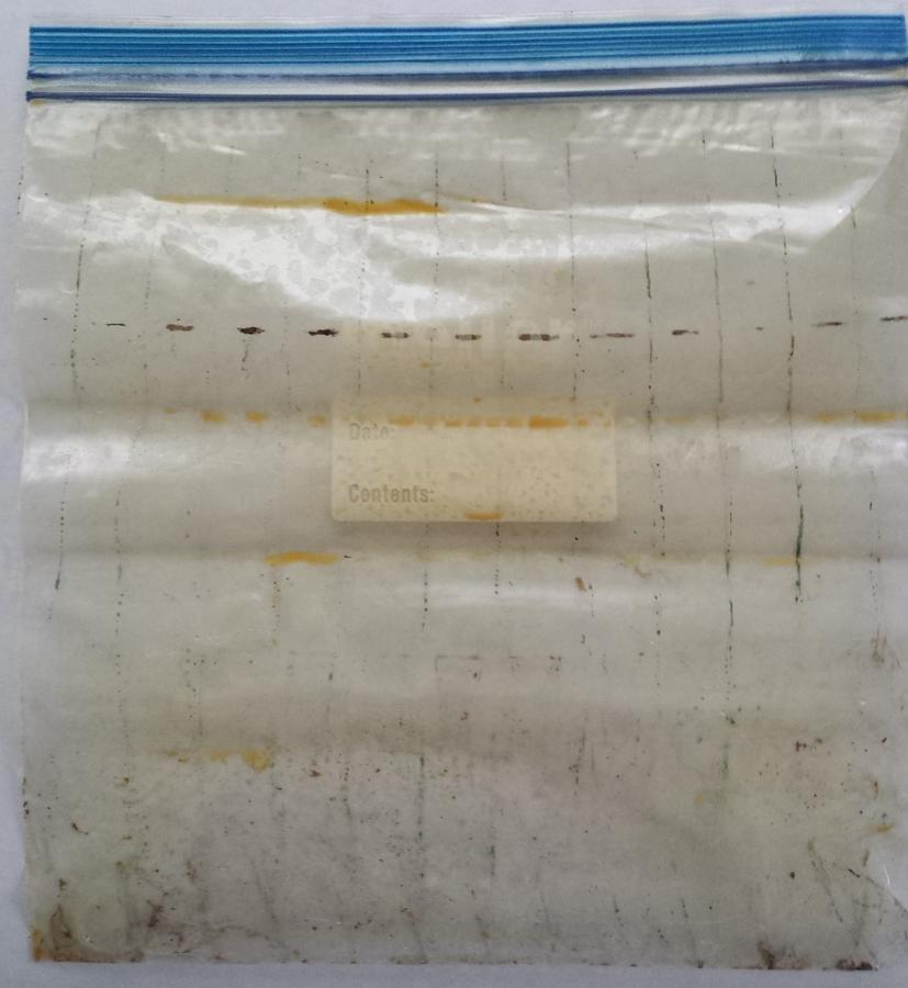 Maple pellets test Powder - ziploc.jpg