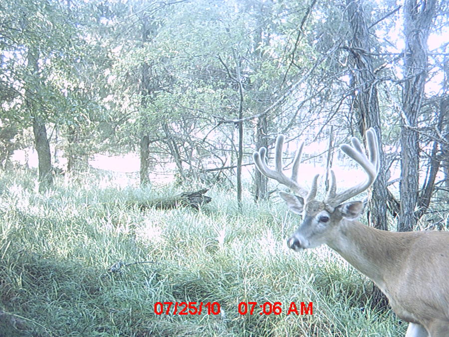 MDGC0517.JPG