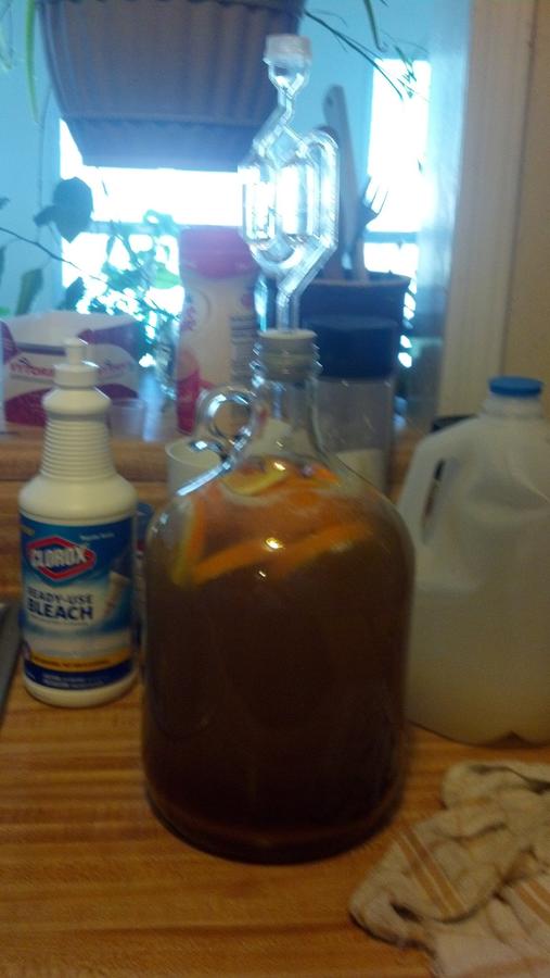 mead day 1-3.JPG