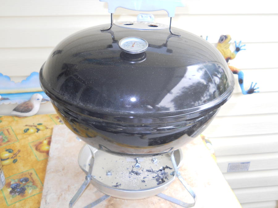 mini weber 2.JPG
