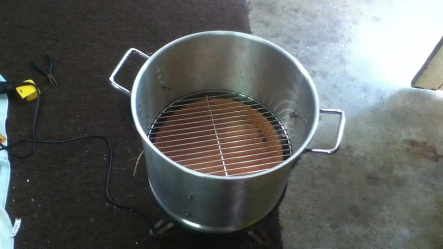 mini wsm 007 001_0001.jpg