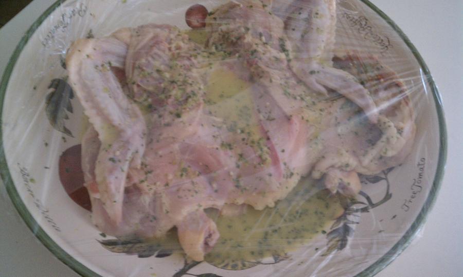 mojo marinade chicken.jpg