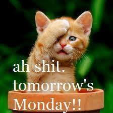 monday1.jpg