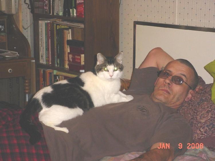 moo kitty 002.jpg