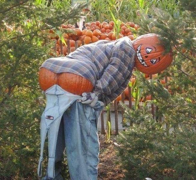 Mooning Pumpkin.jpg