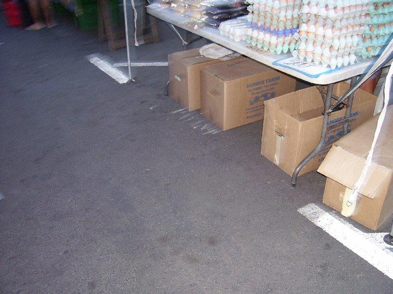 Moorea Family Reunion 003.jpg