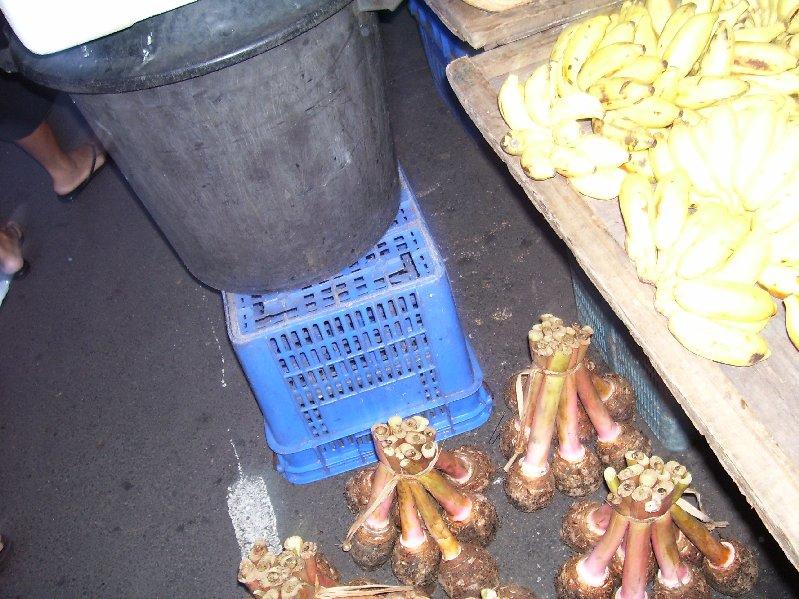 Moorea Family Reunion 007.jpg