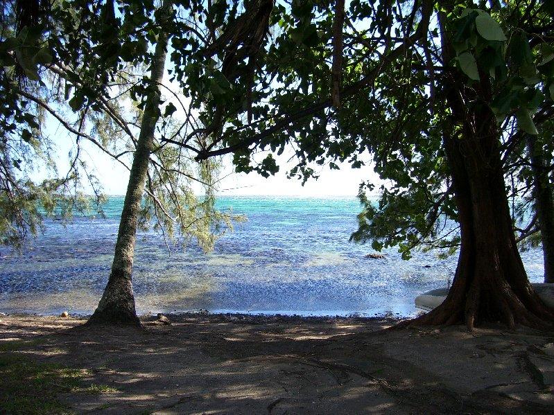 Moorea Family Reunion 065.jpg