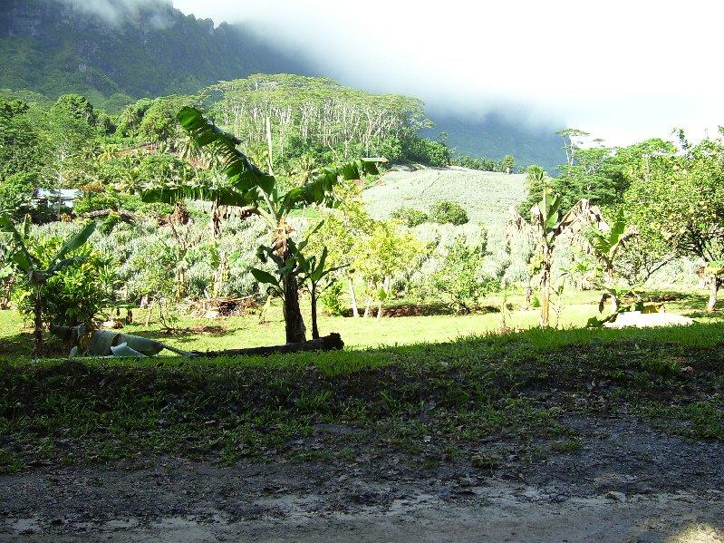 Moorea Family Reunion 067.jpg