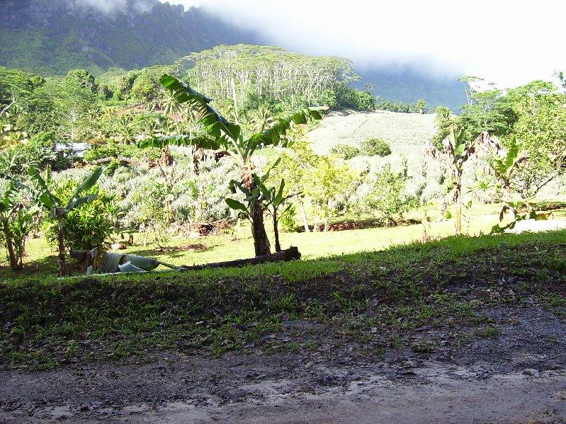 Moorea Family Reunion 068.jpg