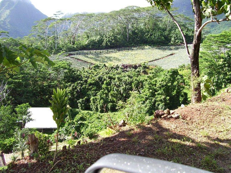 Moorea Family Reunion 071.jpg