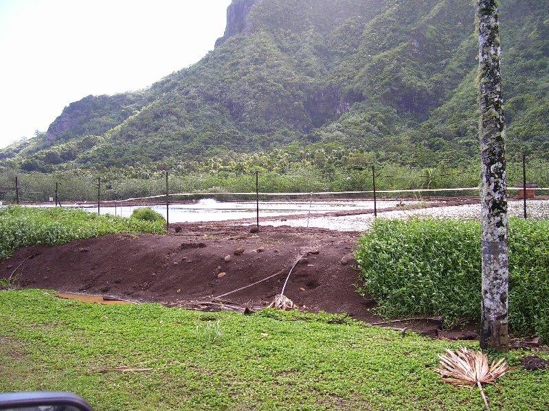 Moorea Family Reunion 079.jpg