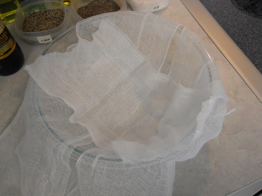 Mozzarella cheese 12-13-11 14.JPG