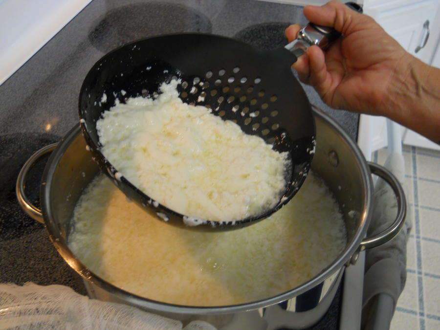 Mozzarella cheese 12-13-11 16.JPG