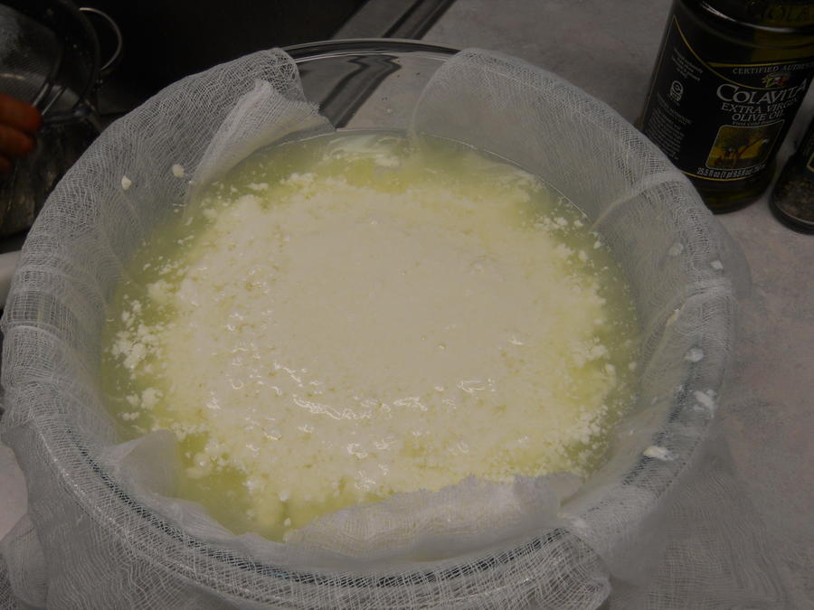 Mozzarella cheese 12-13-11 18.JPG