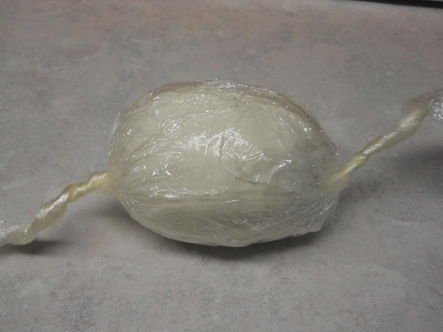 Mozzarella cheese 12-13-11 29.JPG