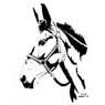 mule head6.jpg