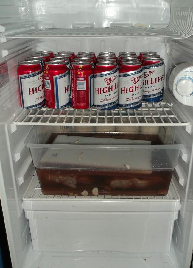 My Fridge.jpg