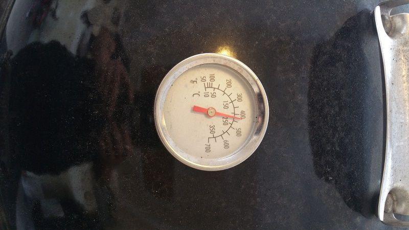 never trust dome thermometer.jpg