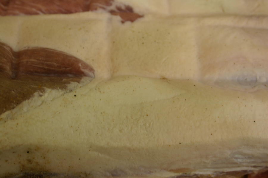 Nitrate burn 001.JPG