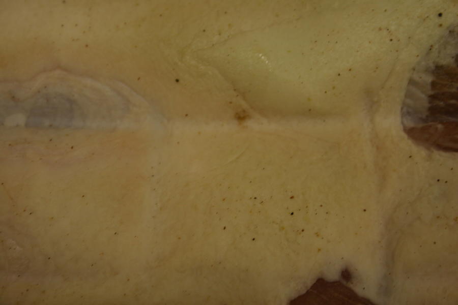 Nitrate burn 002.JPG