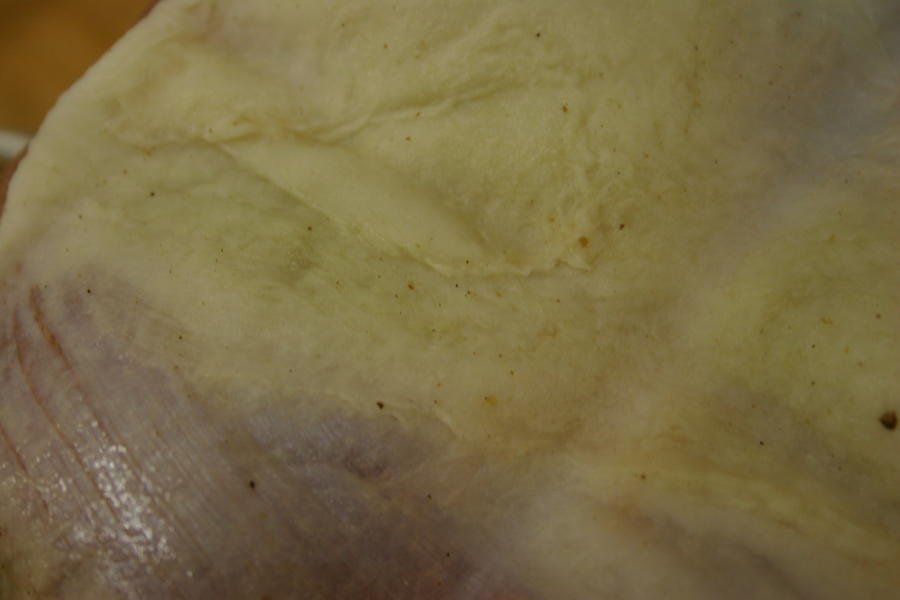 Nitrate burn 003.JPG