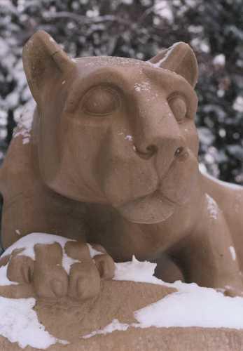 NittanyLionInSnowLg.jpg