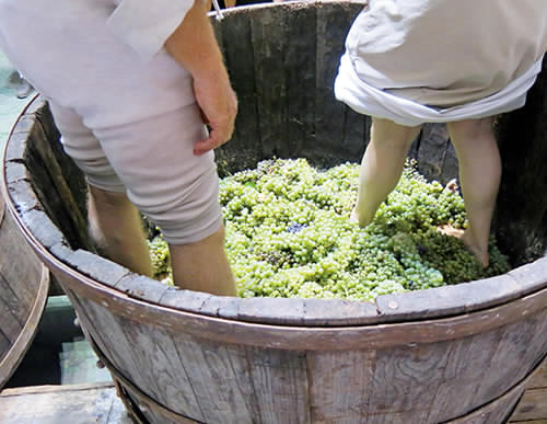 NJF_SWL_Grapes.jpg