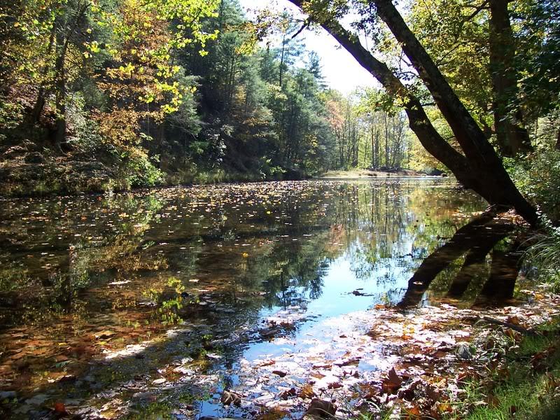 Oct-Cabin030.jpg
