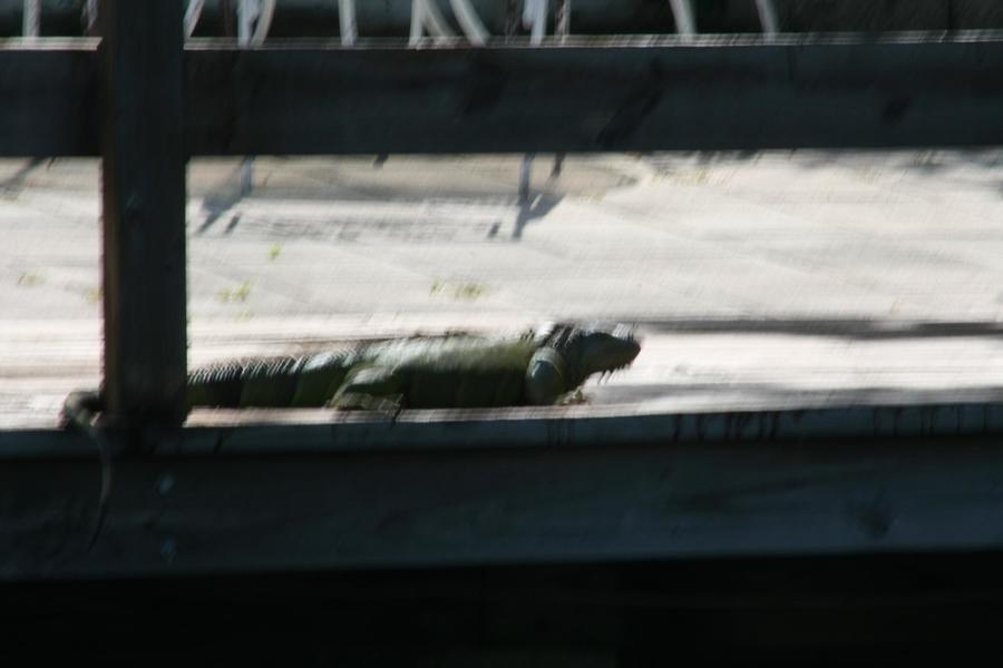 oct throwdown11-01 006.jpg