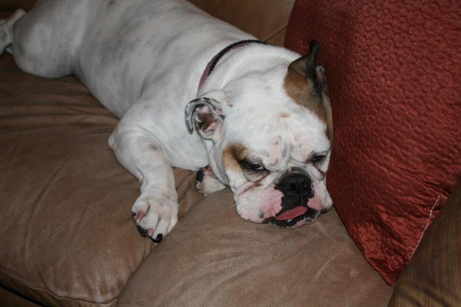 oct throwdown11-01 013.jpg