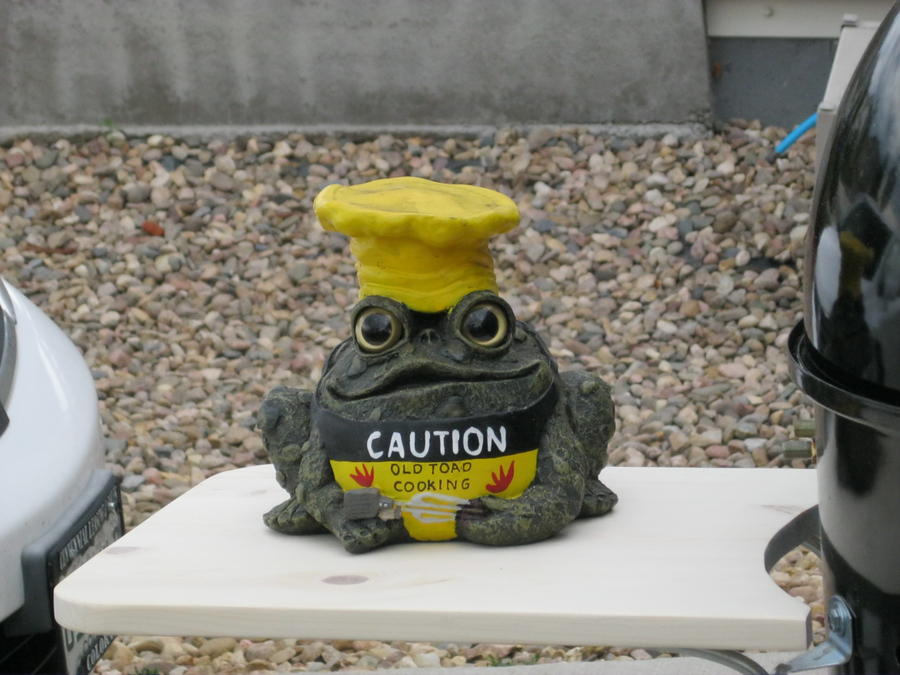 Ol Toad.JPG