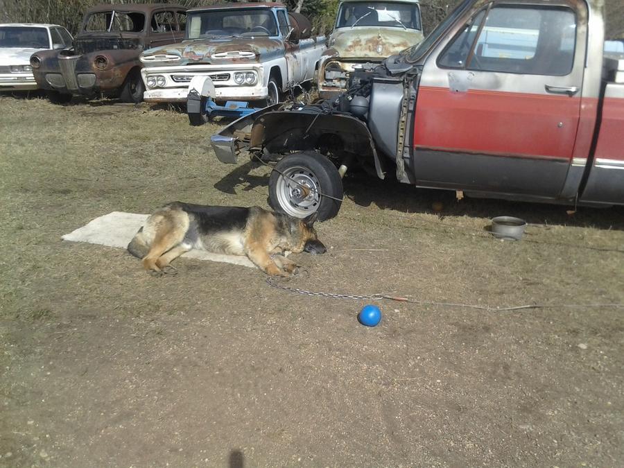 old cell phone pic dump 003.jpg