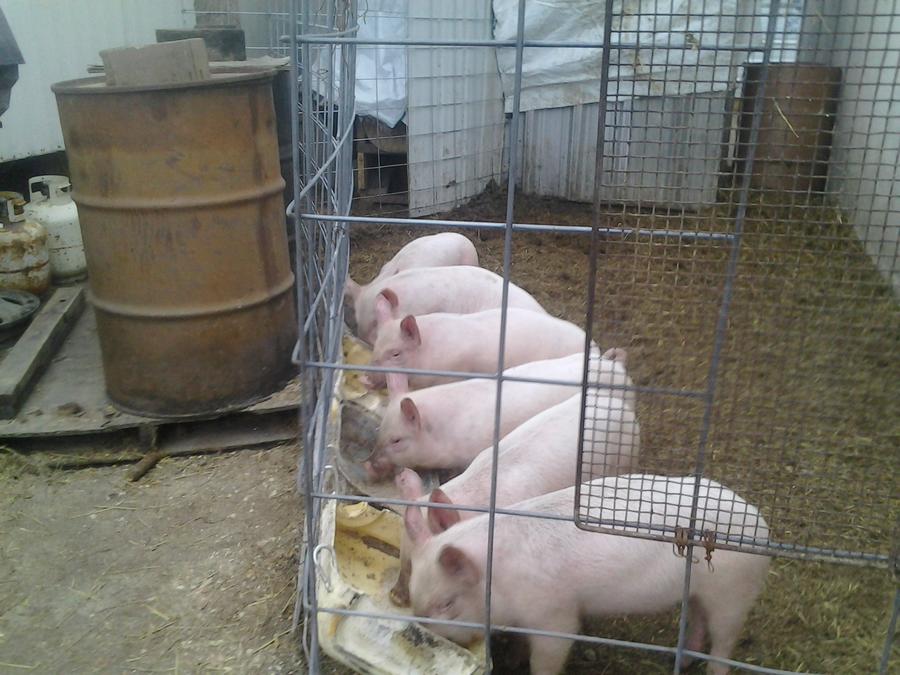 old cell phone pic dump 007.jpg