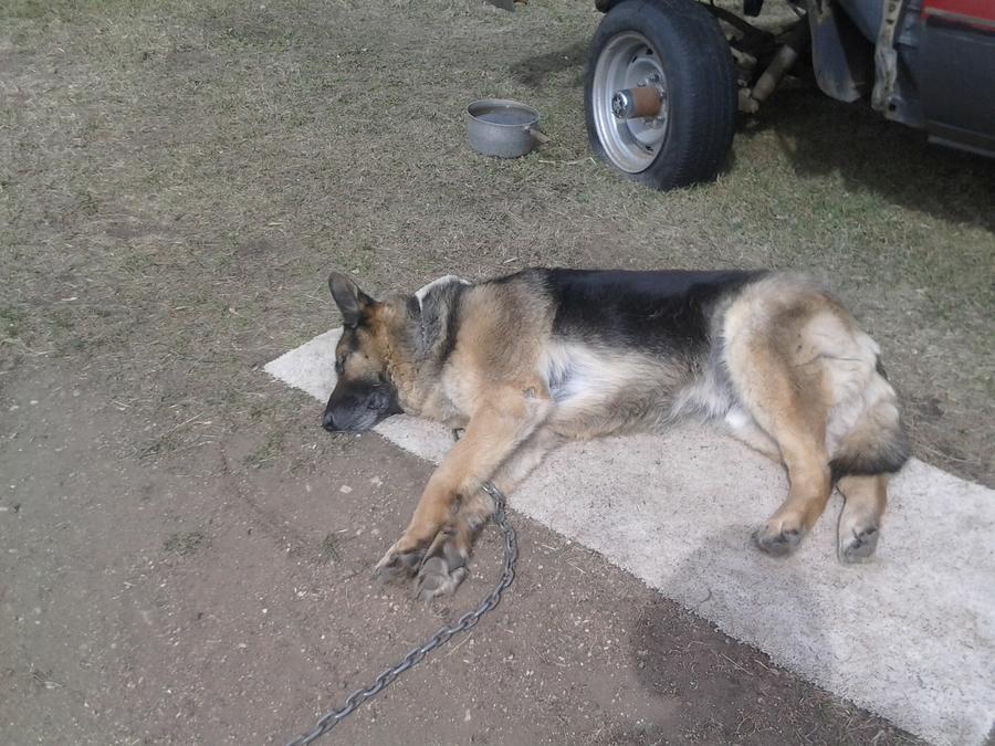 old cell phone pic dump 020.jpg