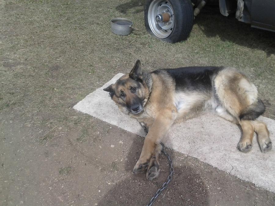 old cell phone pic dump 021.jpg