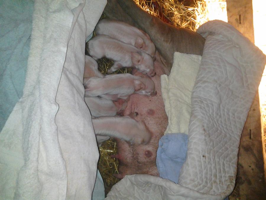 old cell phone pic dump 026.jpg