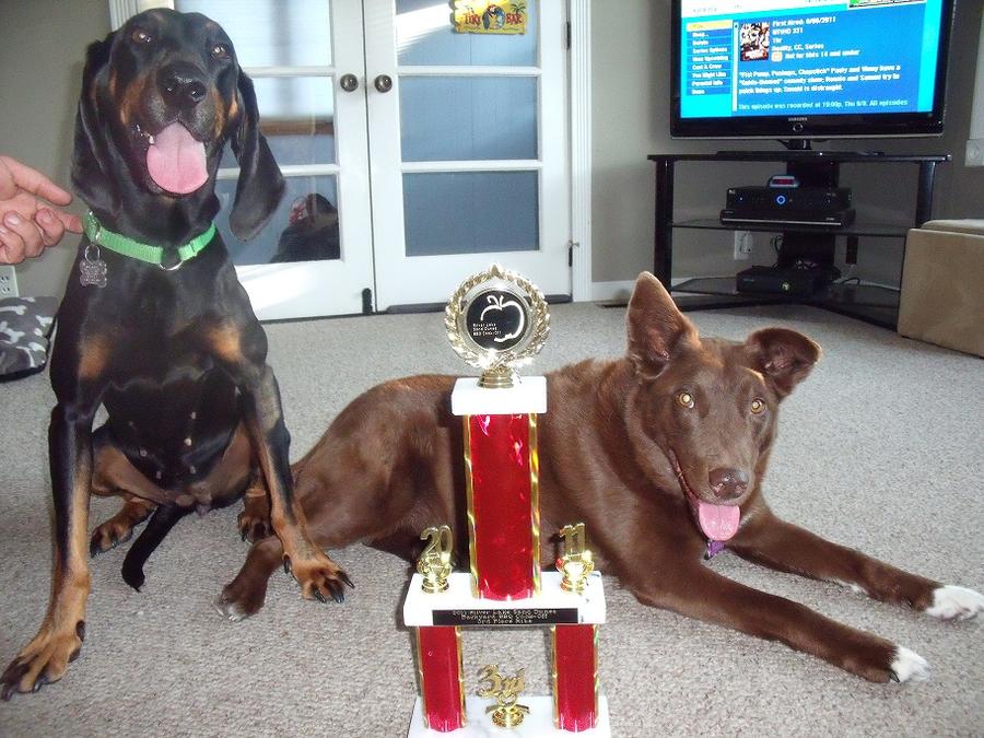 ourmutts.jpg