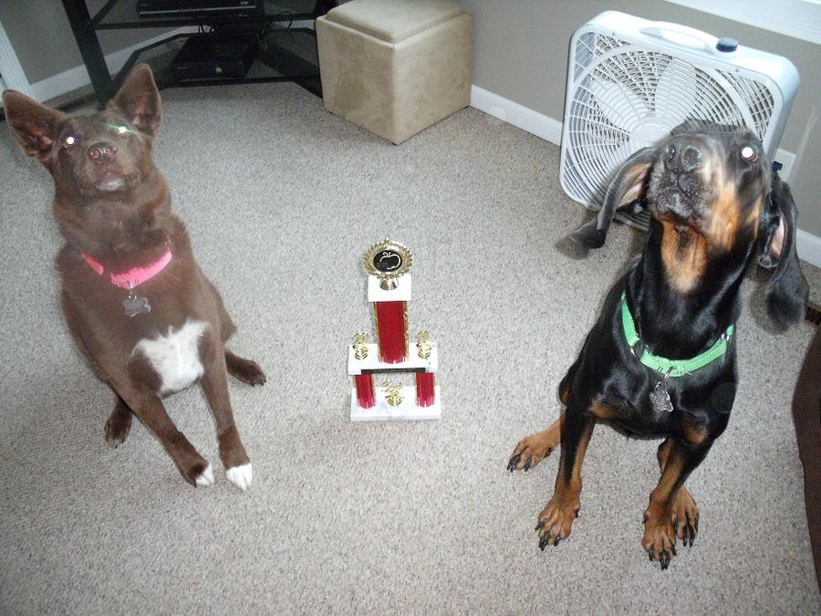 ourmutts2.jpg