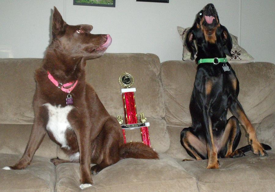 ourmuttstongues.jpg